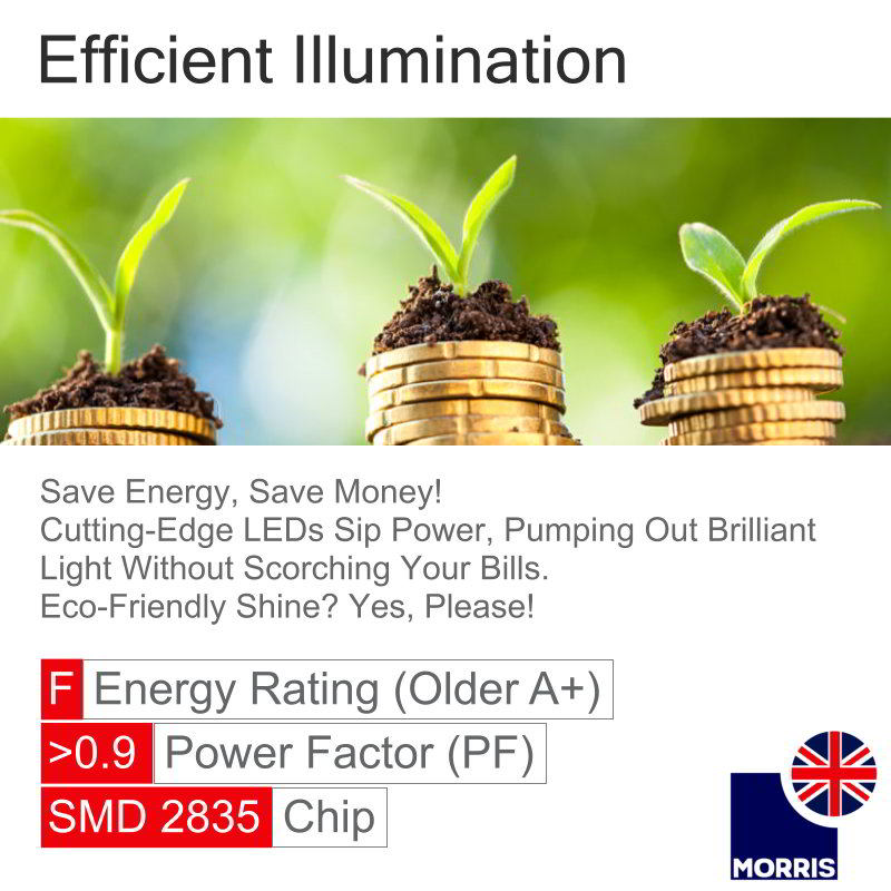 Morris T8 LED coloured tube lights energy efficient