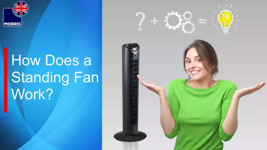 How Does a Standing Fan Work? A Simple Guide (Apr 2025 update)