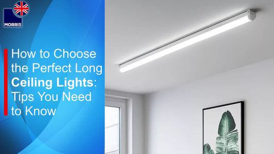 Morris long light bulbs