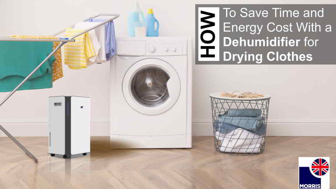Morris dehumidifier for drying clothes