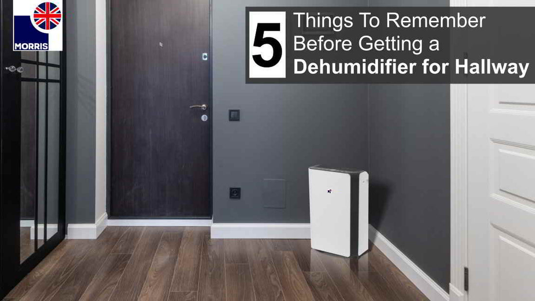 best place to put dehumidifier in 2 story house
