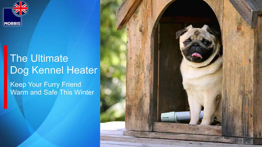 The ultimate dog kennel heater