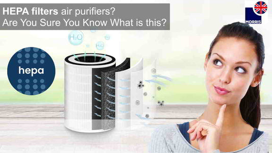 hepa 13 vs true hepa