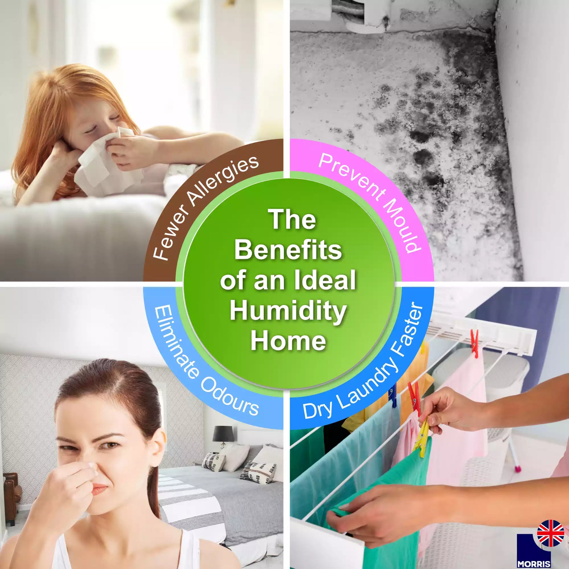 Morris 12L quietest dehumidifier to protect your home