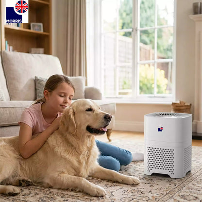 Morris H13 hepa portable air purifier uk for the pet dander