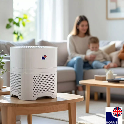 Morris H13 hepa portable air purifier uk to clean the air