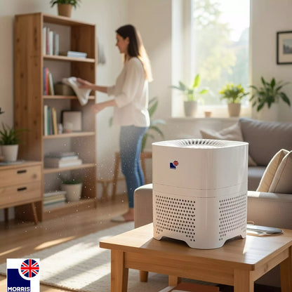 Morris H13 medical grade portable air purifier ideal for the dust