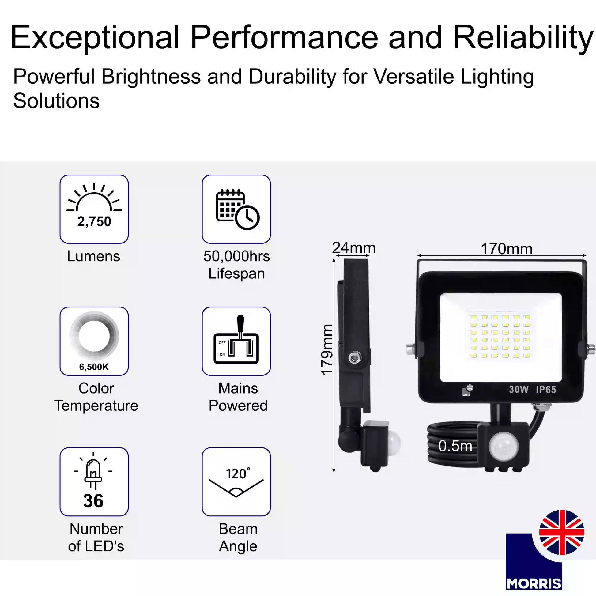Morris LED floodlight remote control security light exceptional performance and reliability