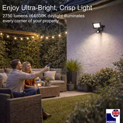 Morris LED floodlight security light with remote control enjoy ultra bright crisp light
