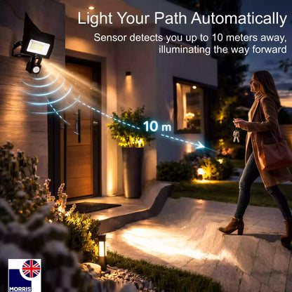 Morris LED floodlight security light with remote control light your path automatically