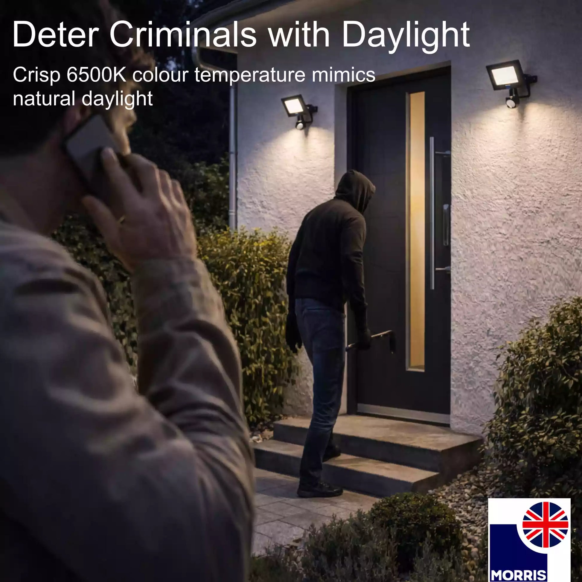 Morris LED sensored lights 30w deter criminals with daylight