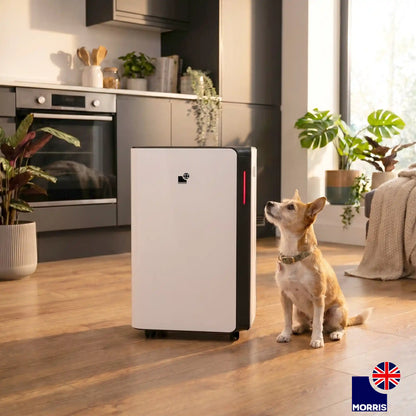 Morris dehumidifiers for home kitchen 2