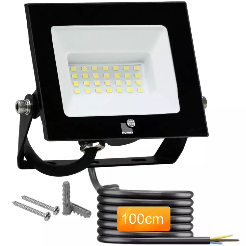 Floodlight 6500K 30W