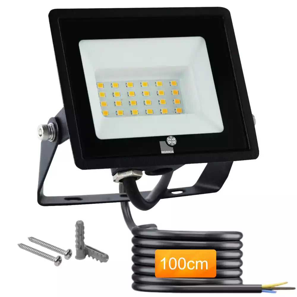 Floodlight 6500K 20W