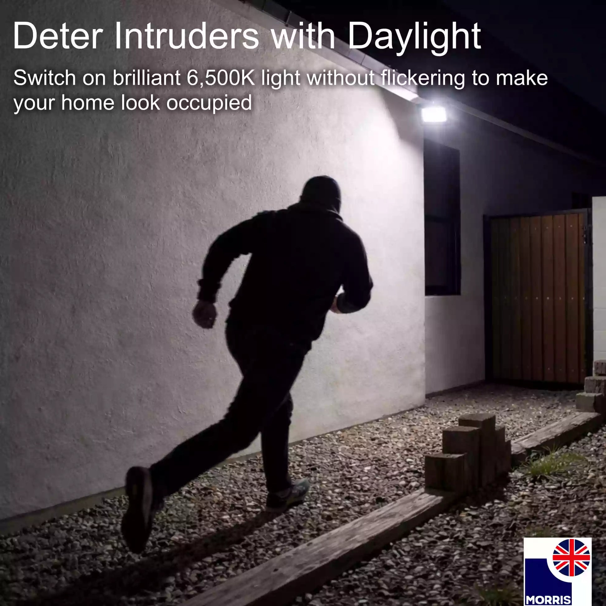 Morris led 20w outdoor or indoor floodlight deter intruders with daylight